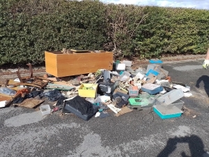 Dad And Son In Court As Dead Snakes And Reptiles Fly-Tipped
