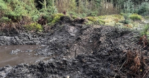 Prehistoric settlement site damaged by illegal off-roading