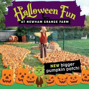 Halloween Spooktacular at Newham Grange Farm