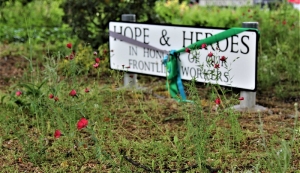 Colourful Planting Tribute to Pandemic Heroes
