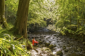 Mindful Month in the North York Moors National Park this September