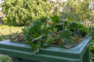Reminder sounded over green waste collections pause