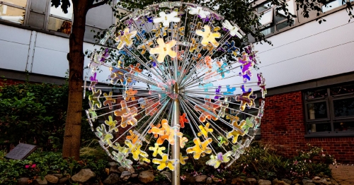 People in Teesside and North Yorkshire area are encouraged to confirm their decision to save lives this Organ Donation Week