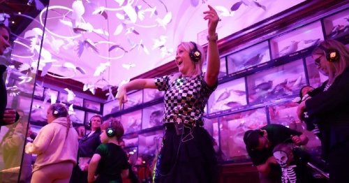 Pride and a dash of disco taking over the Dorman Museum for one unforgettable night