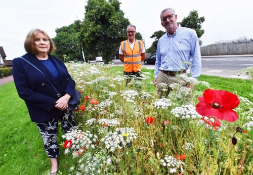 Boro's Hit Urban Bloomers Set To Return Next Year