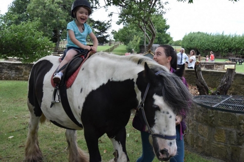 Newham Grange Farm Improvements Continue Apace