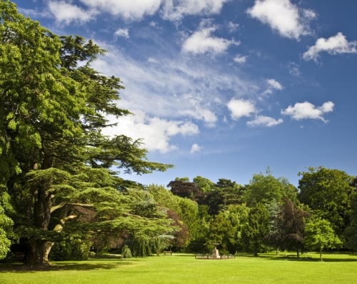 Stewart Park