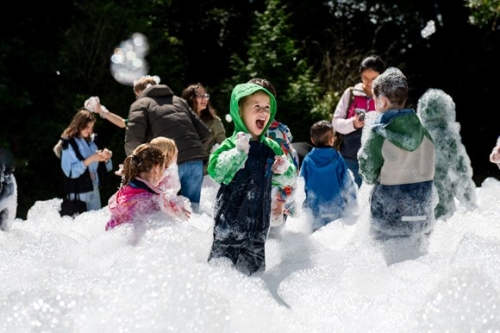 Wonder-ing what to do this summer?