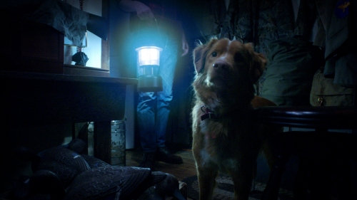 Image credit: IMDb/Vertigo Releasing 