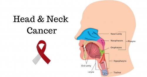 Head &amp; Neck Cancer Awareness: Understanding the Signs, Reducing the Risks, and Supporting Our Community