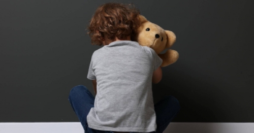 Urgent call sounded for new foster carers