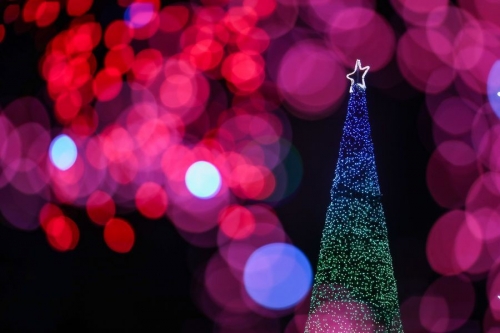 Countdown to Christmas Lights Switch On in Middlesbrough