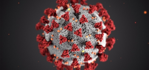 Numbers Revealed on Middlesbrough Covid Infections