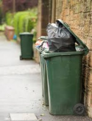 Views Sought on Bigger Bins and Fortnightly Collections