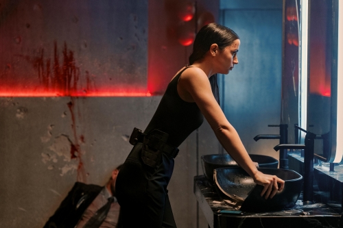 Image credit: IMDb/ Larry D. Horricks / Lionsgate 